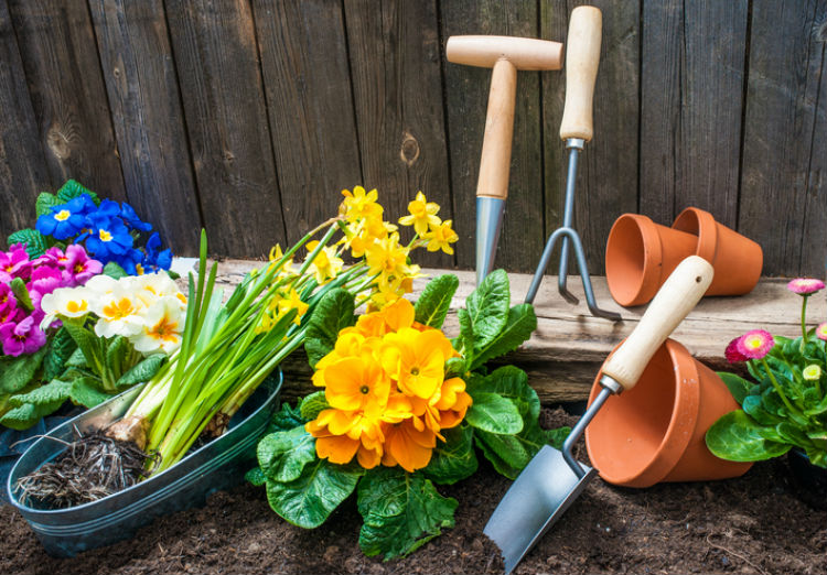 Gartenbeet mit Fruehlingspflanzen