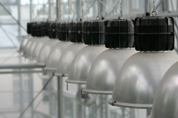 Designer Lampen