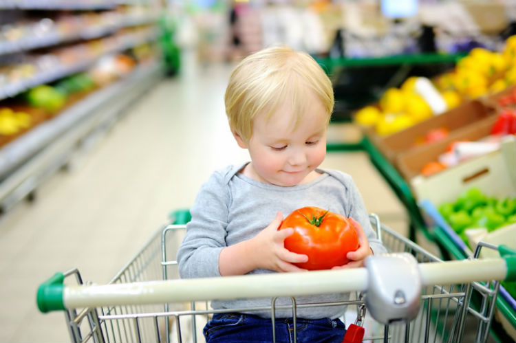 Kleines Kind, das im Einkaufswagen sitzt und eine Tomate in den Haenden haelt