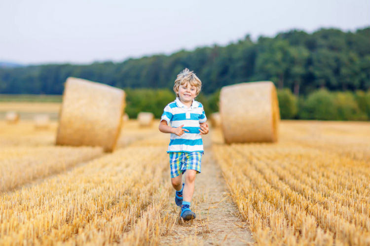 kleiner Junge rennt über Feld