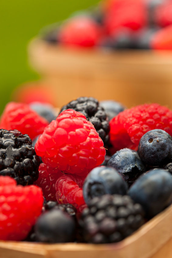 Rote und schwarze Beeren als Gesundheitsmacher