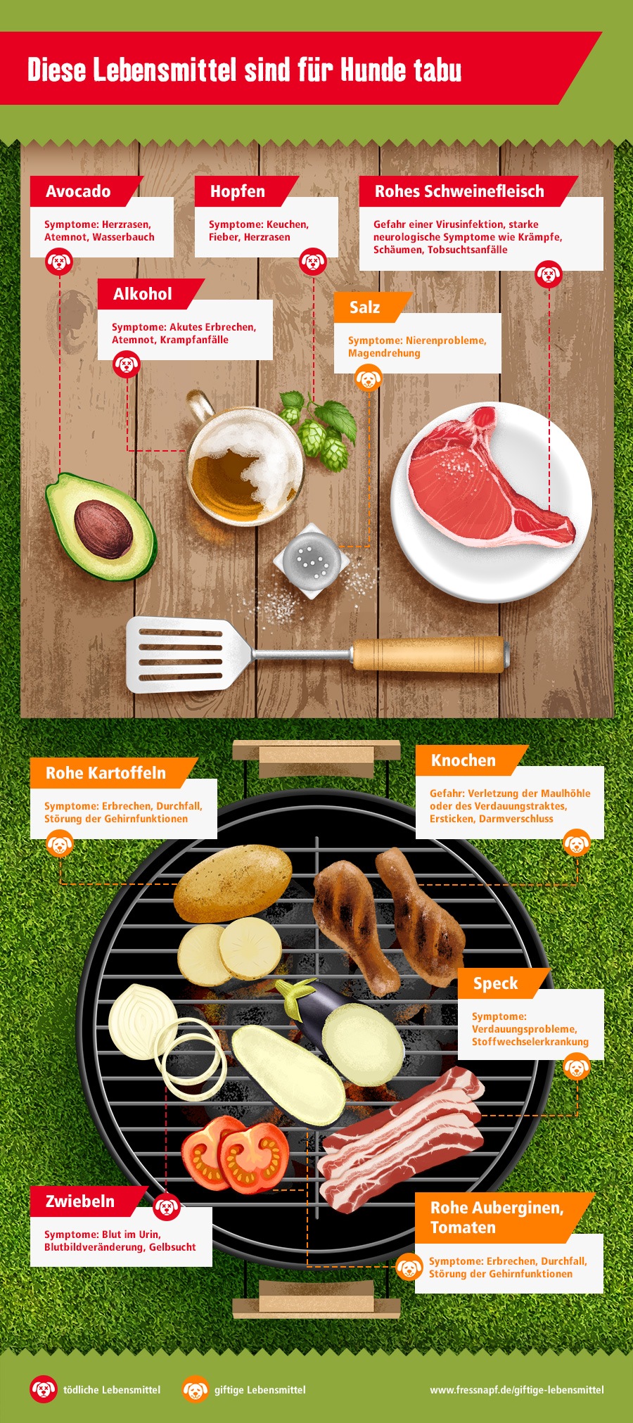 Infografik - giftige Lebensmittel für den Hund
