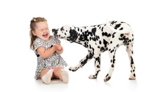 Hunde sind vor allem bei Kindern beliebte Haustiere