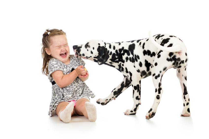 Hunde sind vor allem bei Kindern beliebte Haustiere