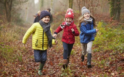 Kinder spielen im Wald