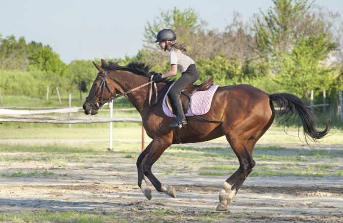 Kinder finden einen Ausgleich durchs Reiten