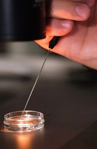 Künstliche Befruchtung im Labor