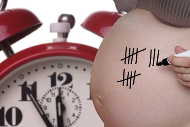 Schwangerschaftskalender: Ihr Begleiter für spannende neun Monate