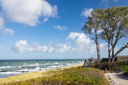 Ein Strandpanorama mit Dünen und Sandstrand.