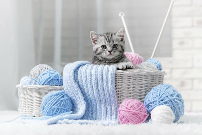 Mit Stricken Klamotten selber machen