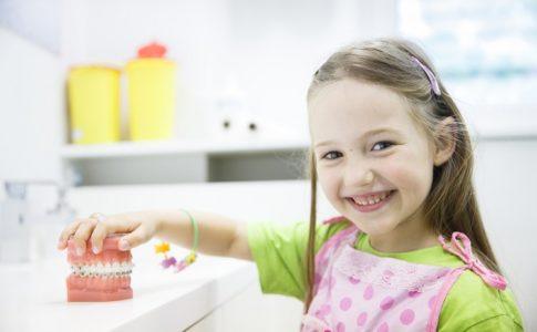 Kleines Mädchen hält Modell-Gebiss fest beim Zahnarzt