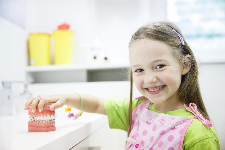Kleines Mädchen hält Modell-Gebiss fest beim Zahnarzt