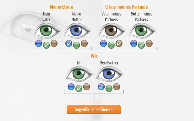 Augenfarbe bestimmen test