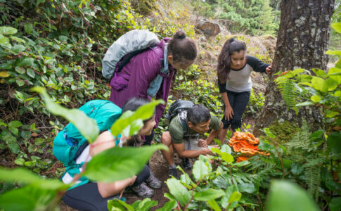 4 Personen erkunden zusammen einen grünen Wald