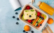 Bunte Lunchbox: Katzensandwich, Gemüse, Obst und Saftflasche