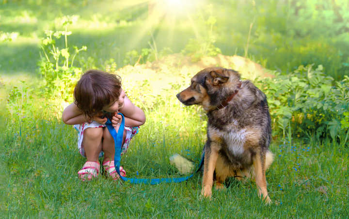 kinder und hundewunsch