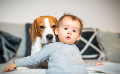 Baby zusammen mit einem Hund