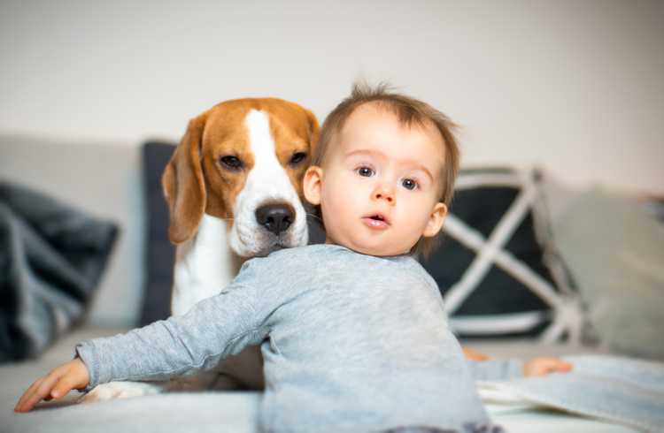 Baby zusammen mit einem Hund