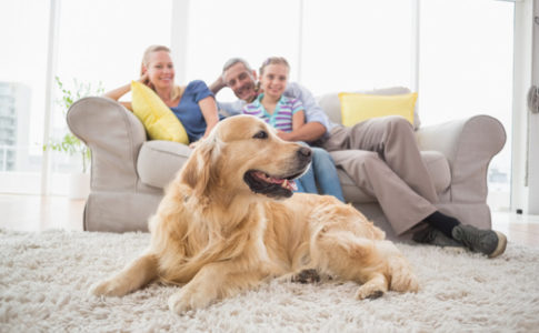 Familie und Hund