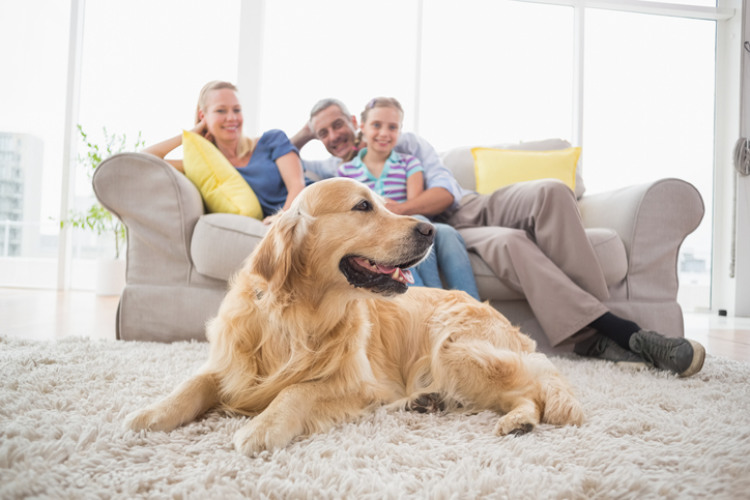 Familie und Hund