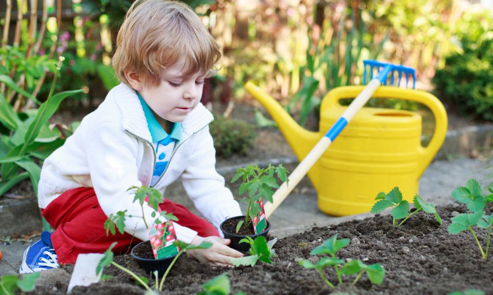 Kind sät im Garten Pflanzen aus