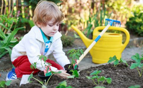 Kind sät im Garten Pflanzen aus