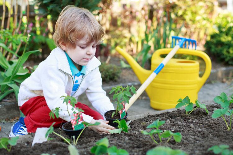 Gartenarbeit zusammen mit Kindern: So haben auch die Kleinsten Spaß im ...