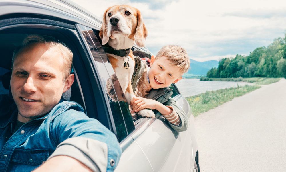 Eine Famileie fährt mit dem Auto und schaut aus dem Fenster