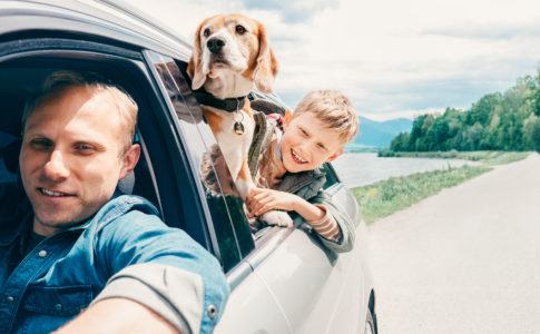 Eine Famileie fährt mit dem Auto und schaut aus dem Fenster