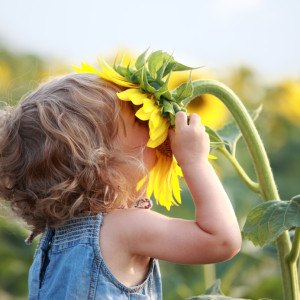 Frühling