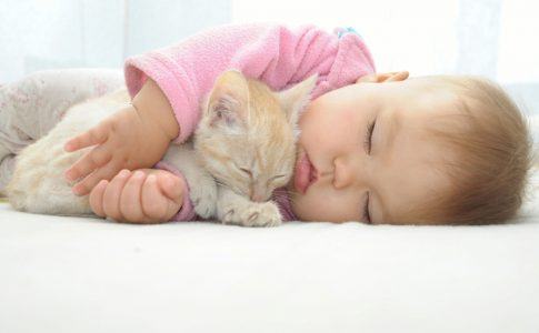 Baby und Katze