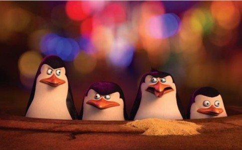 Die Pinguine aus Madagascar