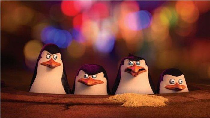 Die Pinguine aus Madagascar