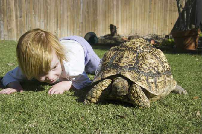 Kind mit Schildkröte