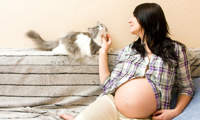 Schwanger-mit-Katze