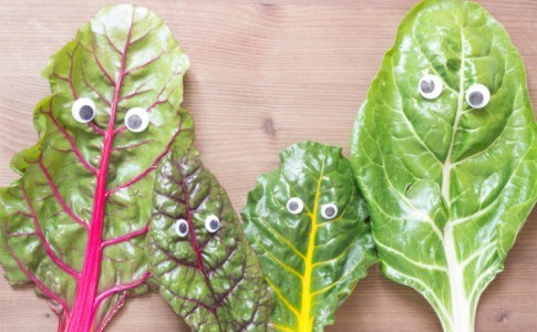 vegetarische Rezepte für die Familie
