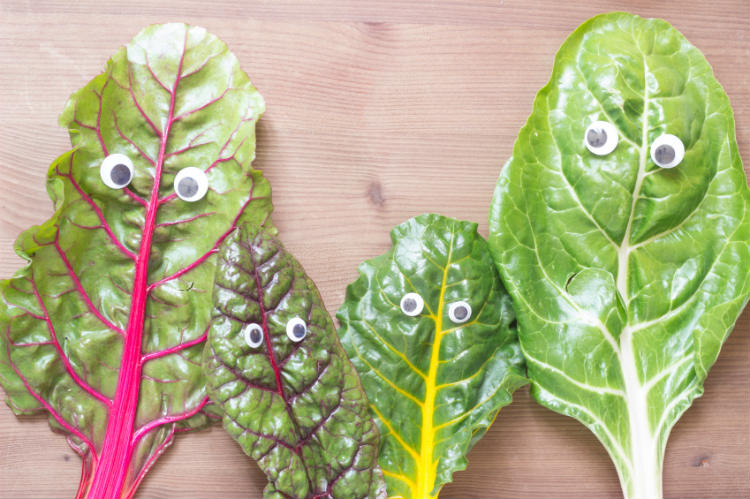 vegetarische Rezepte für die Familie